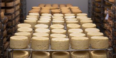 Ser z gminy Pokrzywnica z nagrodą w Mazowieckim Konkursie Serów Zagrodowych 2021