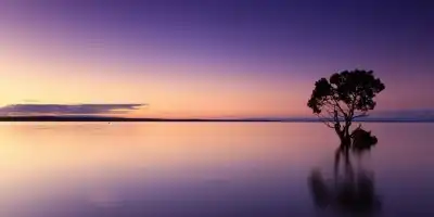 Jakie znaki zodiaku lubią samotność? Te 3 znaki w samotności odnajdują siebie.