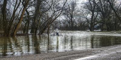 Pułtusk. Stan Narwi na g.14.00 [19.01.2018]